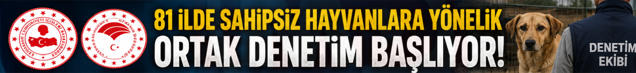 Sahipsiz hayvanlara yönelik 81 ilde denetim yapılacak!