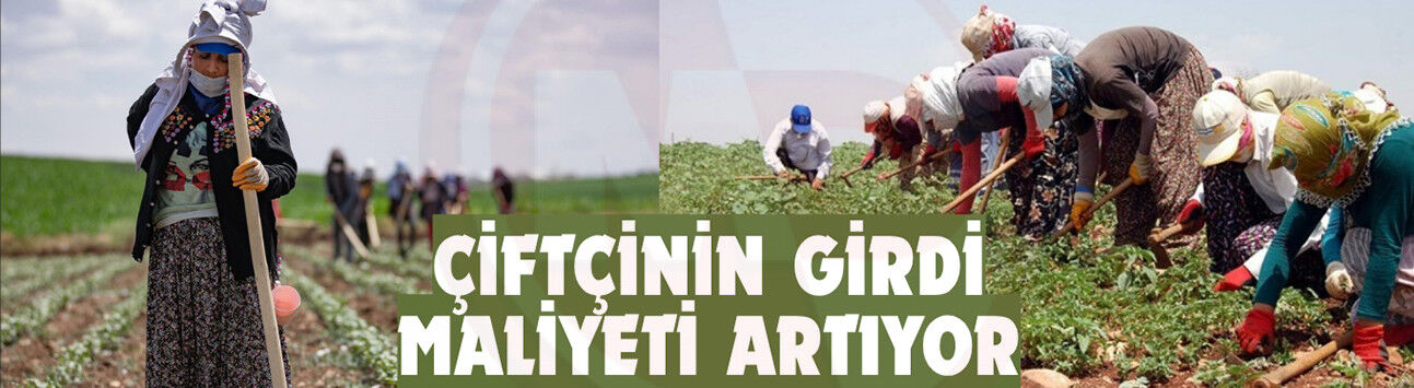 Çiftçinin girdi maliyeti artıyor