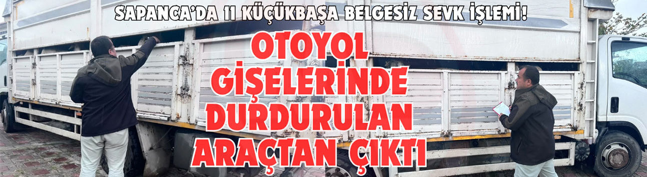 SAPANCA’DA 11 KÜÇÜKBAŞA BELGESİZ SEVK İŞLEMİ!