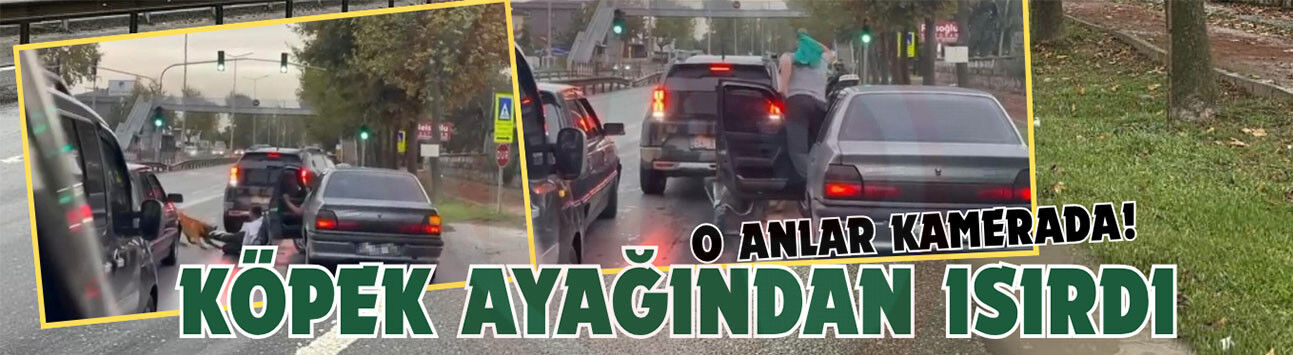 Köpeğin vatandaşı ayağından ısırıp sürüklediği anlar kamerada