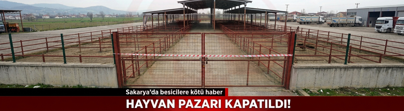 HAYVAN PAZARI KAPATILDI!