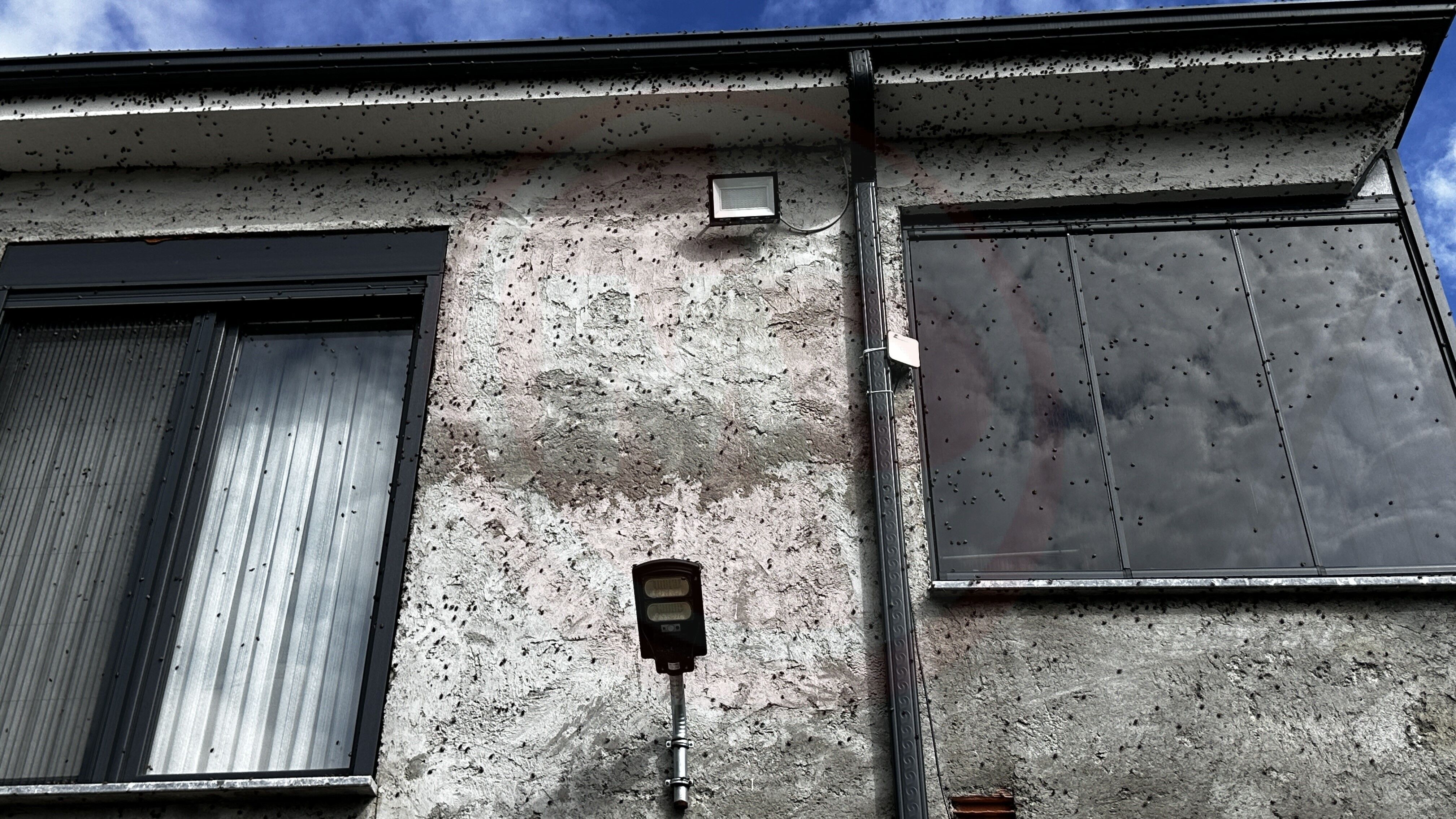 A W805358 02