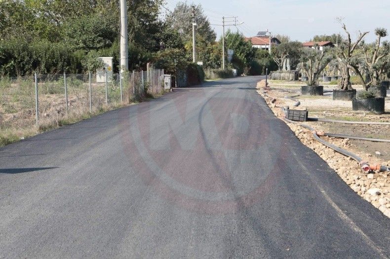Arifiye Belediye Asfalt (2)