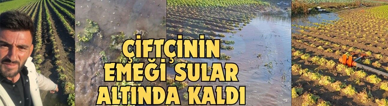 Çiftçinin emeği sular altında kaldı