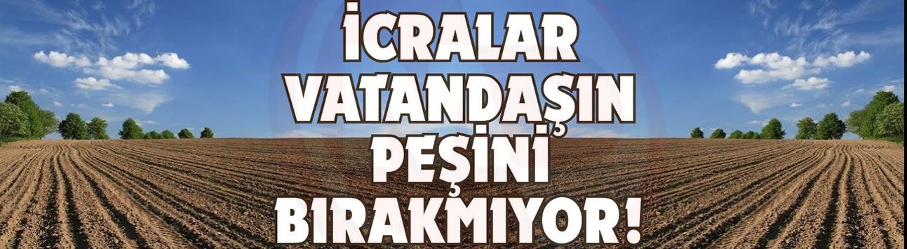 Tarla, arsa ve daireler ihaleye çıkıyor!