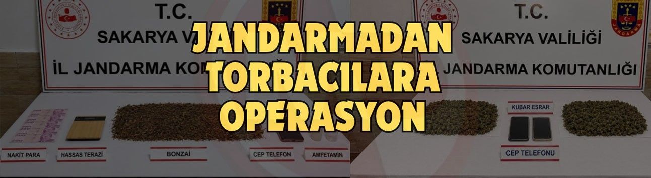 Sakarya’da jandarmadan torbacılara operasyon