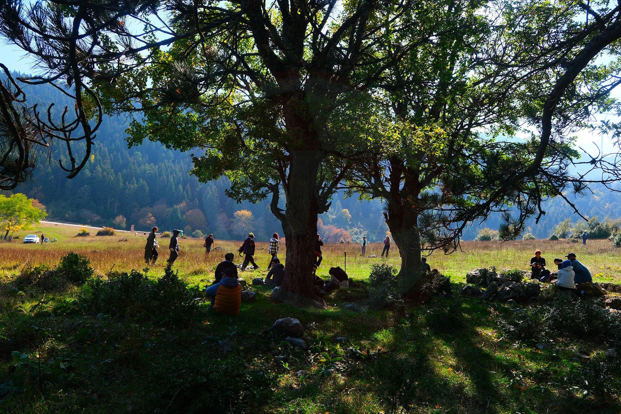 Doğa (5)-10