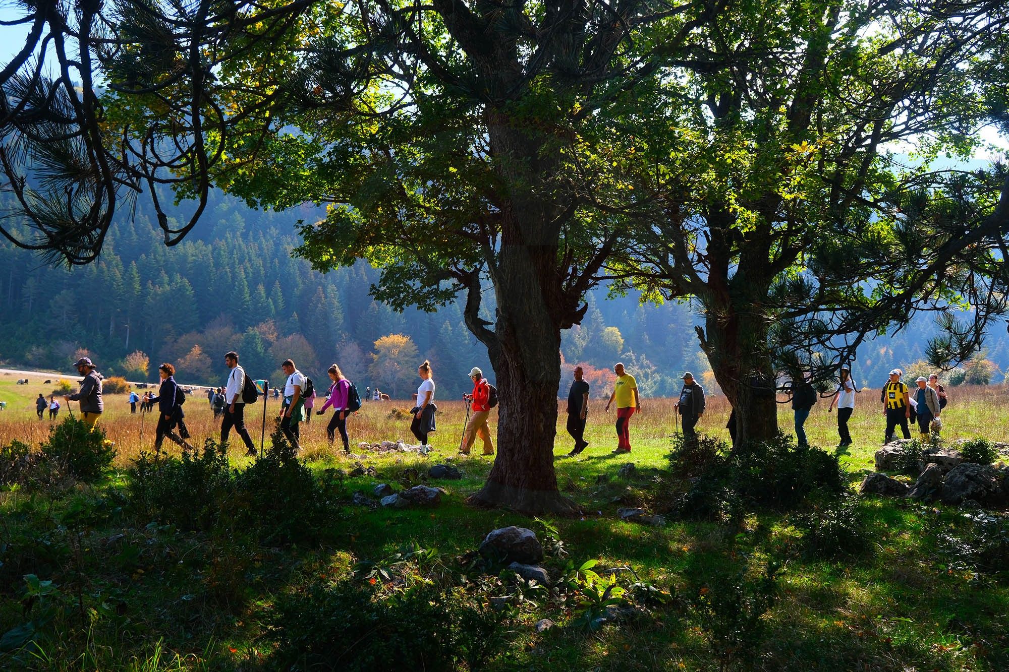 Doğa (6)-8