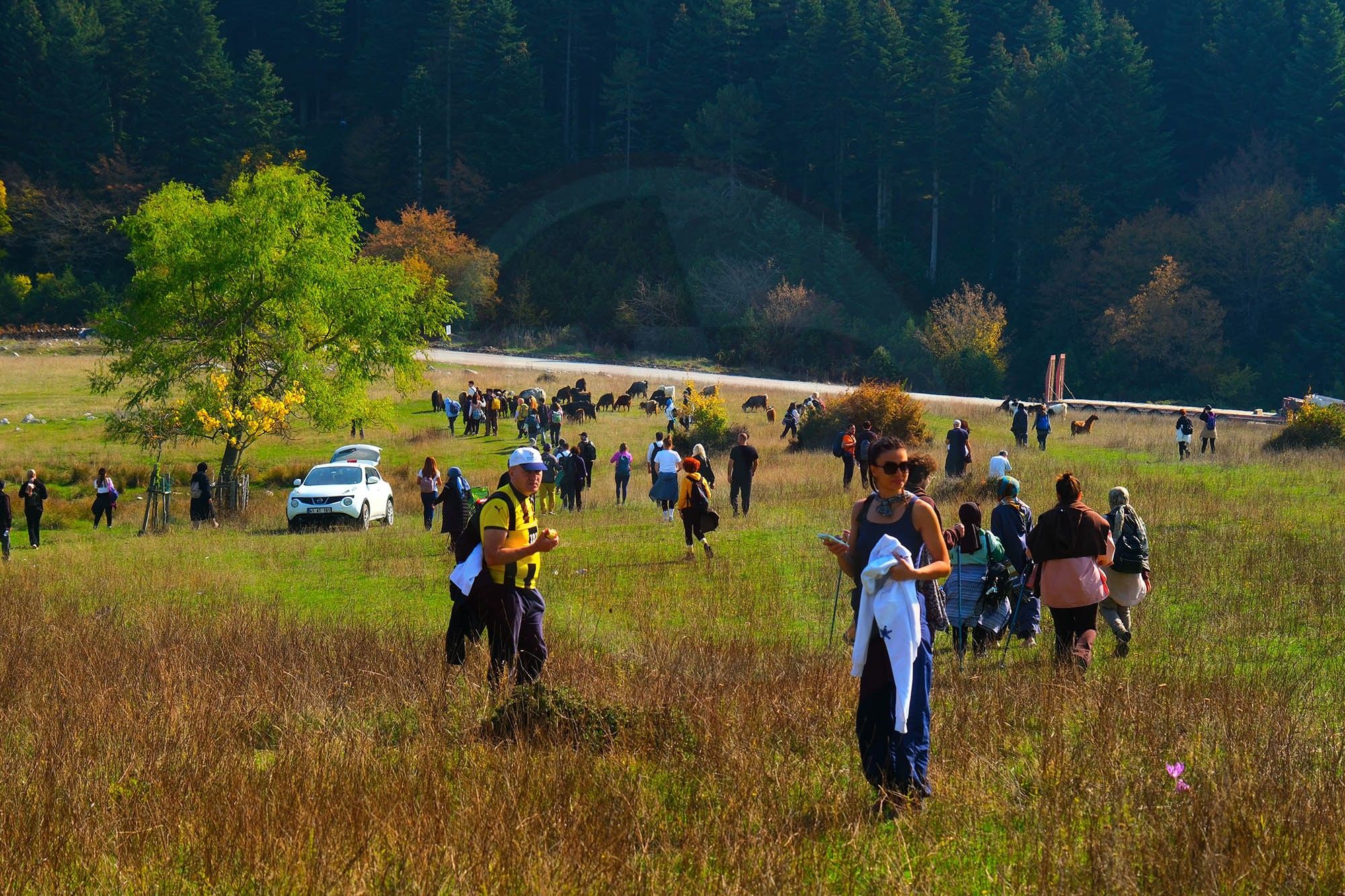 Doğa (7)-5