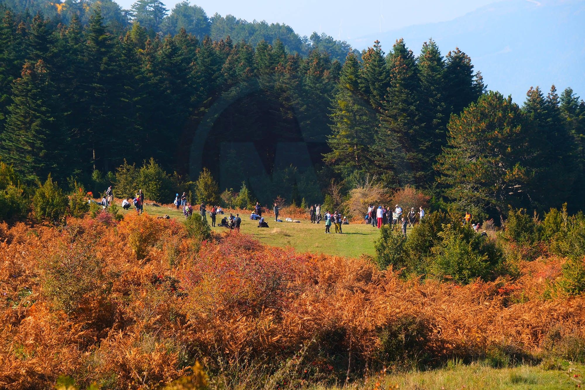 Doğa (8)-7