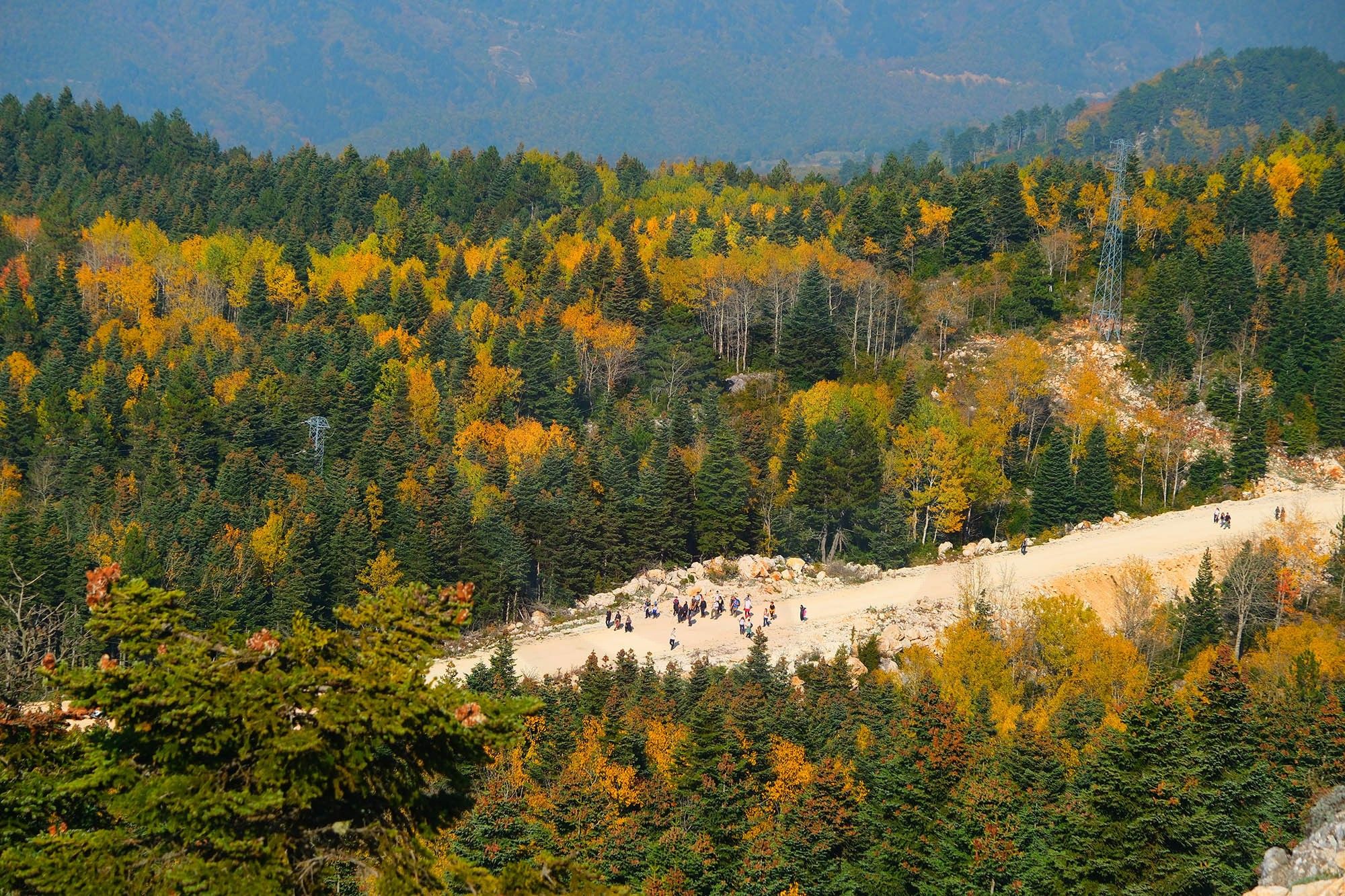 Doğa (9)-7