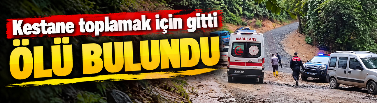 Kestane toplamak için gitti ölü bulundu