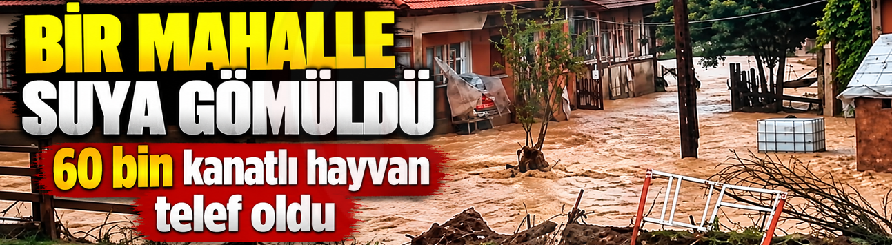 BİR MAHALLE SUYA GÖMÜLDÜ!