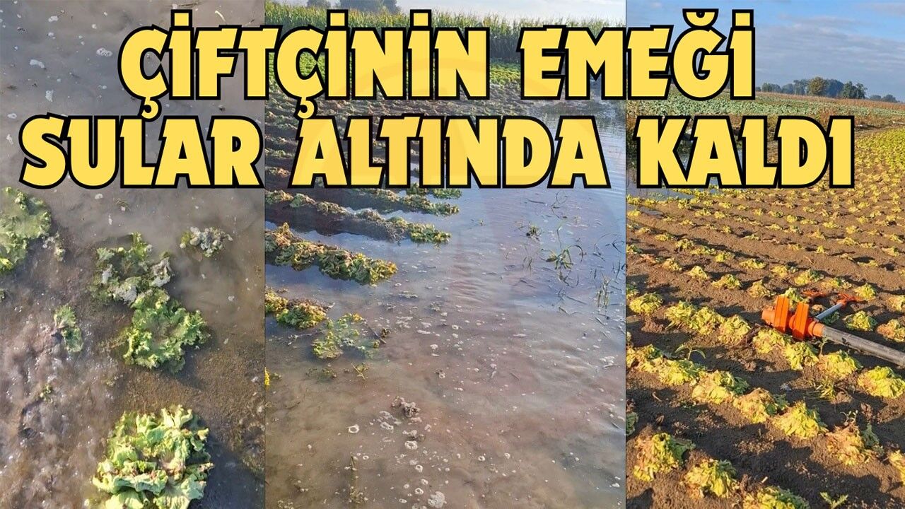 Çiftçinin emeği sular altında kaldı