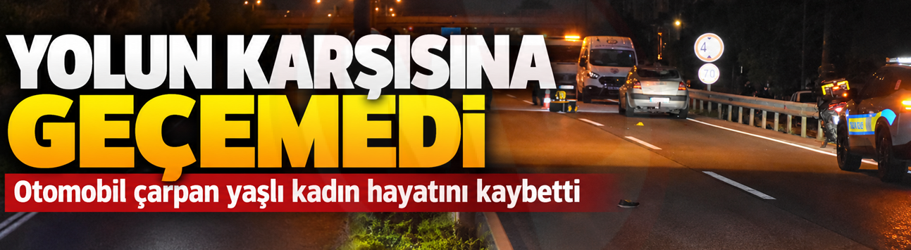 Otomobil çarpan yaşlı kadın hayatını kaybetti