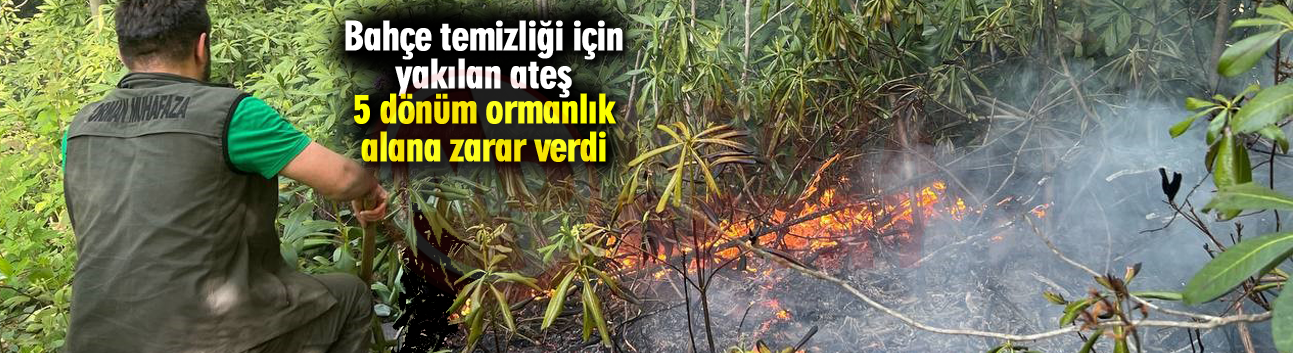 Bahçe temizliği için yakılan ateş 5 dönüm ormanlık alana zarar verdi