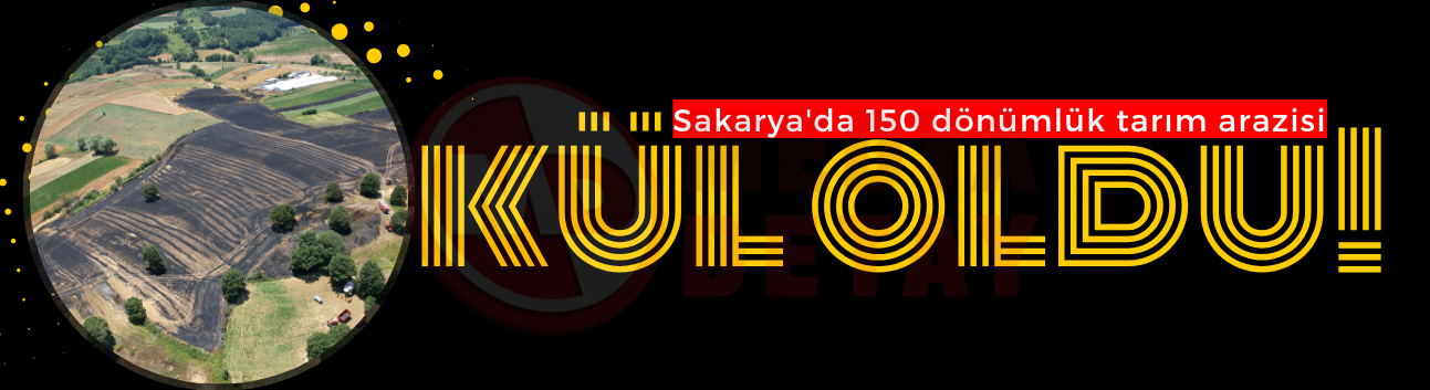 Sakarya'da 150 dönümlük tarım arazisi kül oldu