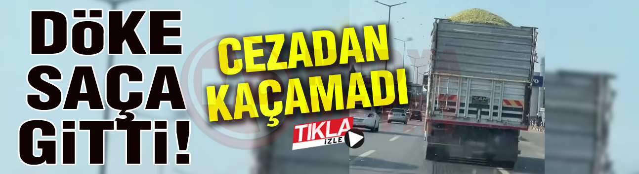 Döke saça gitti! Cezadan kaçamadı