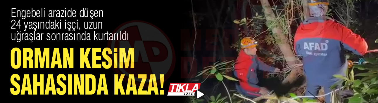 Orman kesim sahasında kaza!