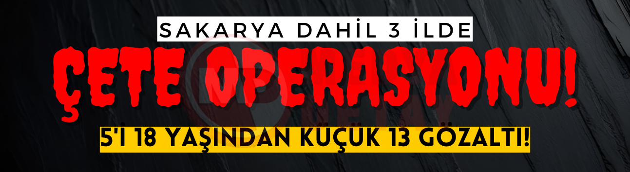 Sakarya'da çete operasyonu: 5'i 18 yaşından küçük!