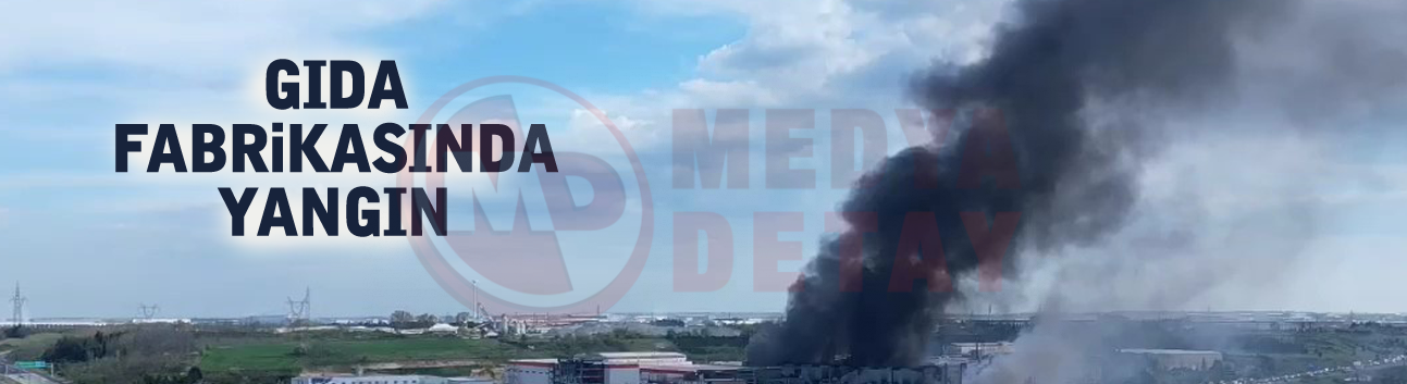 Gıda fabrikasında yangın!
