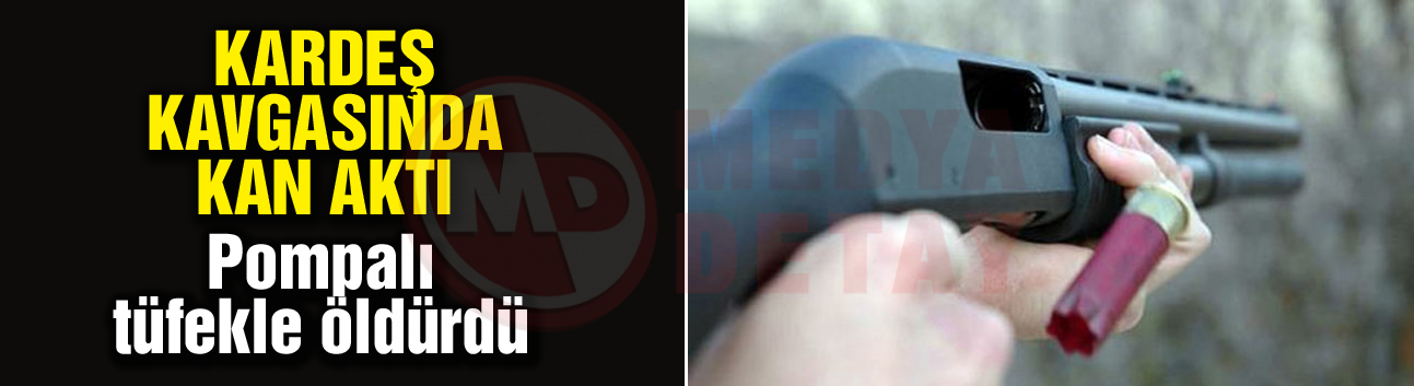 Kardeş kavgasında kan aktı!