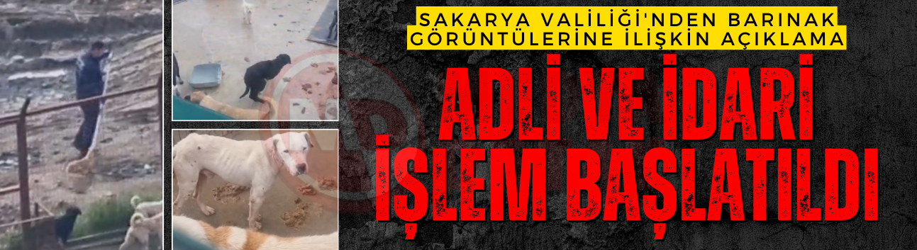 Barınak görüntüleri için Sakarya Valiliği düğmeye bastı!