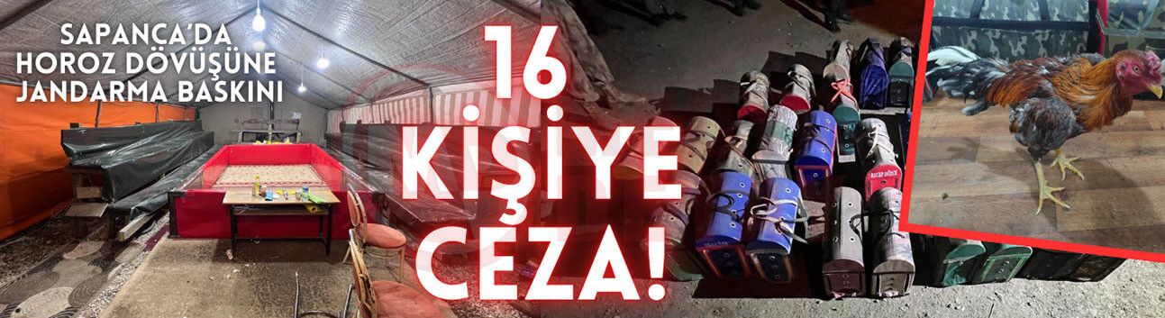 Sapanca’da horoz dövüşüne jandarma baskını