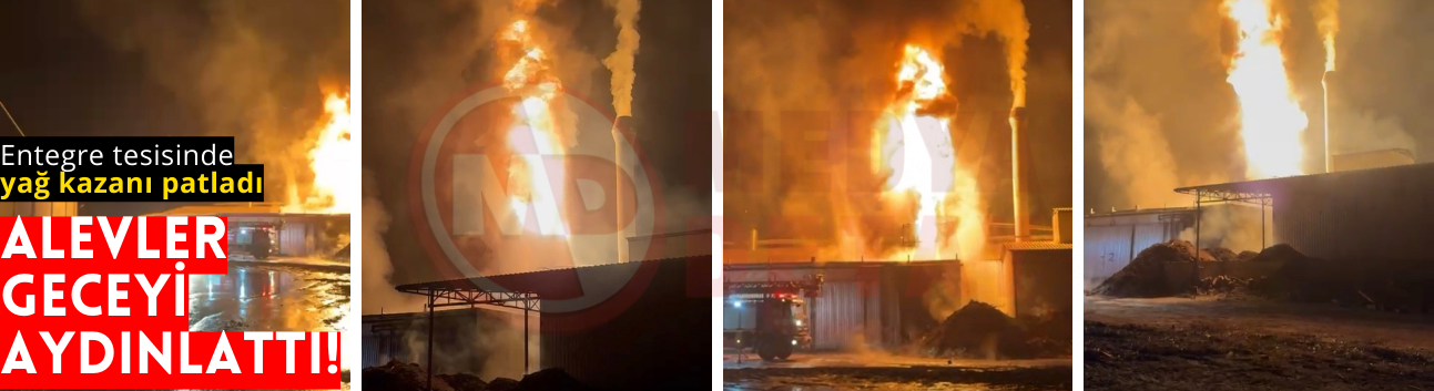 Yağ kazanı patladı: Entegre tesisi alev alev yandı