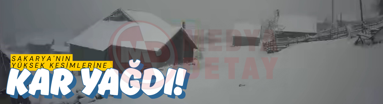 Sakarya'nın yüksek kesimlerine kar yağdı!