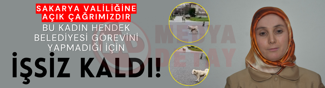 Hendek Belediyesi görevini yapmadığı için işsiz kaldı!