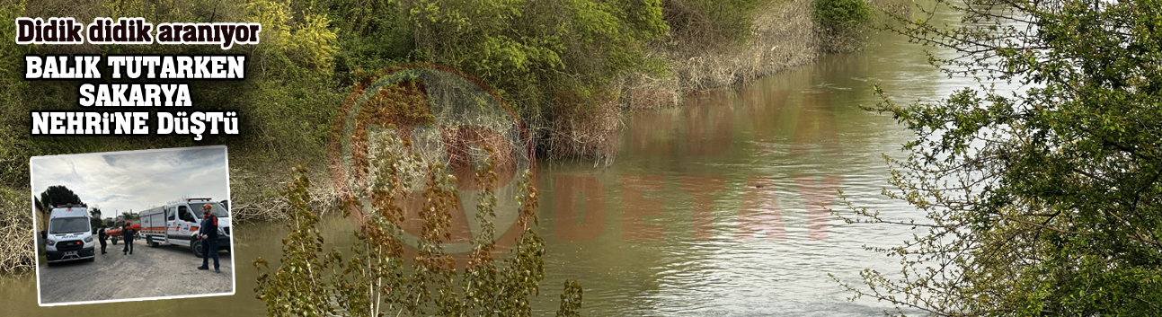 Balık tutarken Sakarya Nehri'ne düştü!