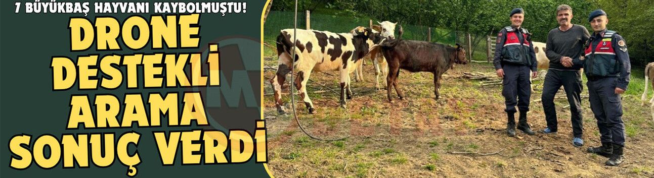 Drone destekli arama sonuç verdi