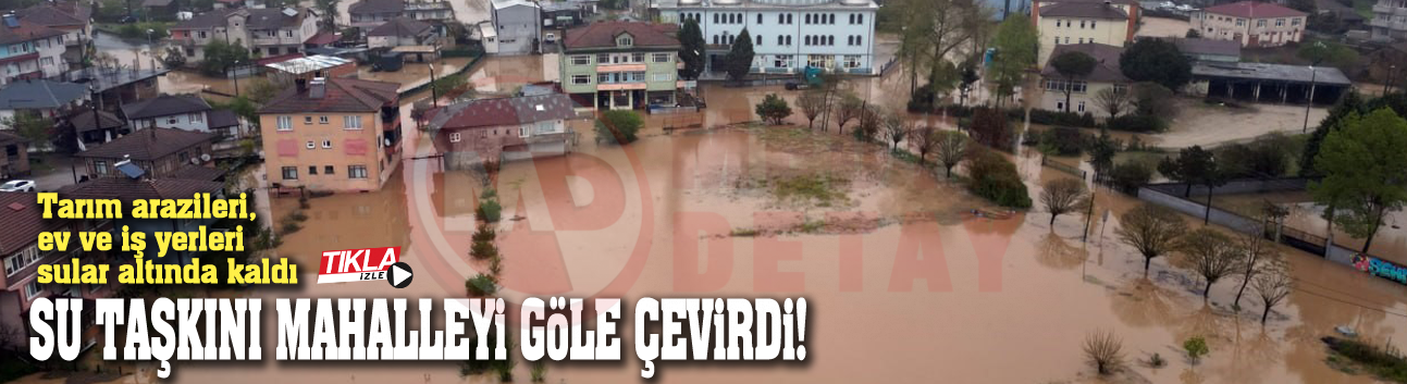 Su taşkını mahalleyi göle çevirdi!